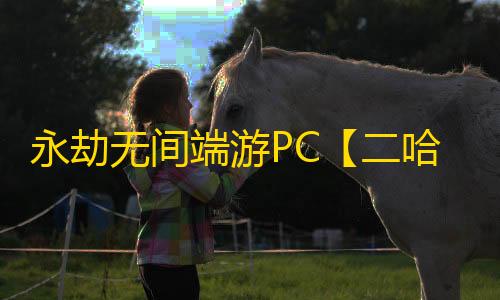 永劫无间端游PC【二哈】外挂